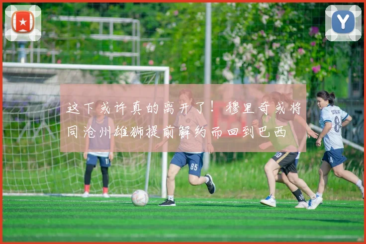 这下或许真的离开了！穆里奇或将同沧州雄狮提前解约而回到巴西