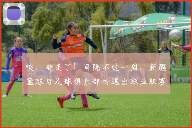 唉，都走了！间隔不过一周，新疆篮球与足球俱乐部均退出职业联赛
