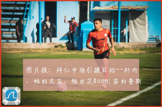 图片报：拜仁中场引援目标--科内，帕利尼亚、维尔茨&菲利普斯