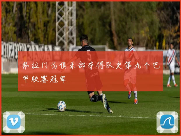 弗拉门戈俱乐部夺得队史第九个巴甲联赛冠军