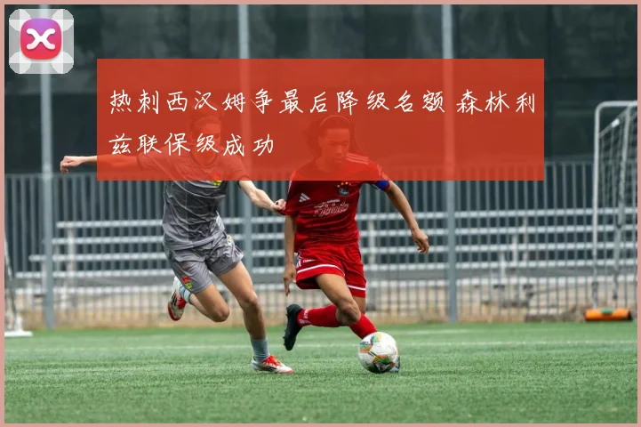 热刺西汉姆争最后降级名额 森林利兹联保级成功